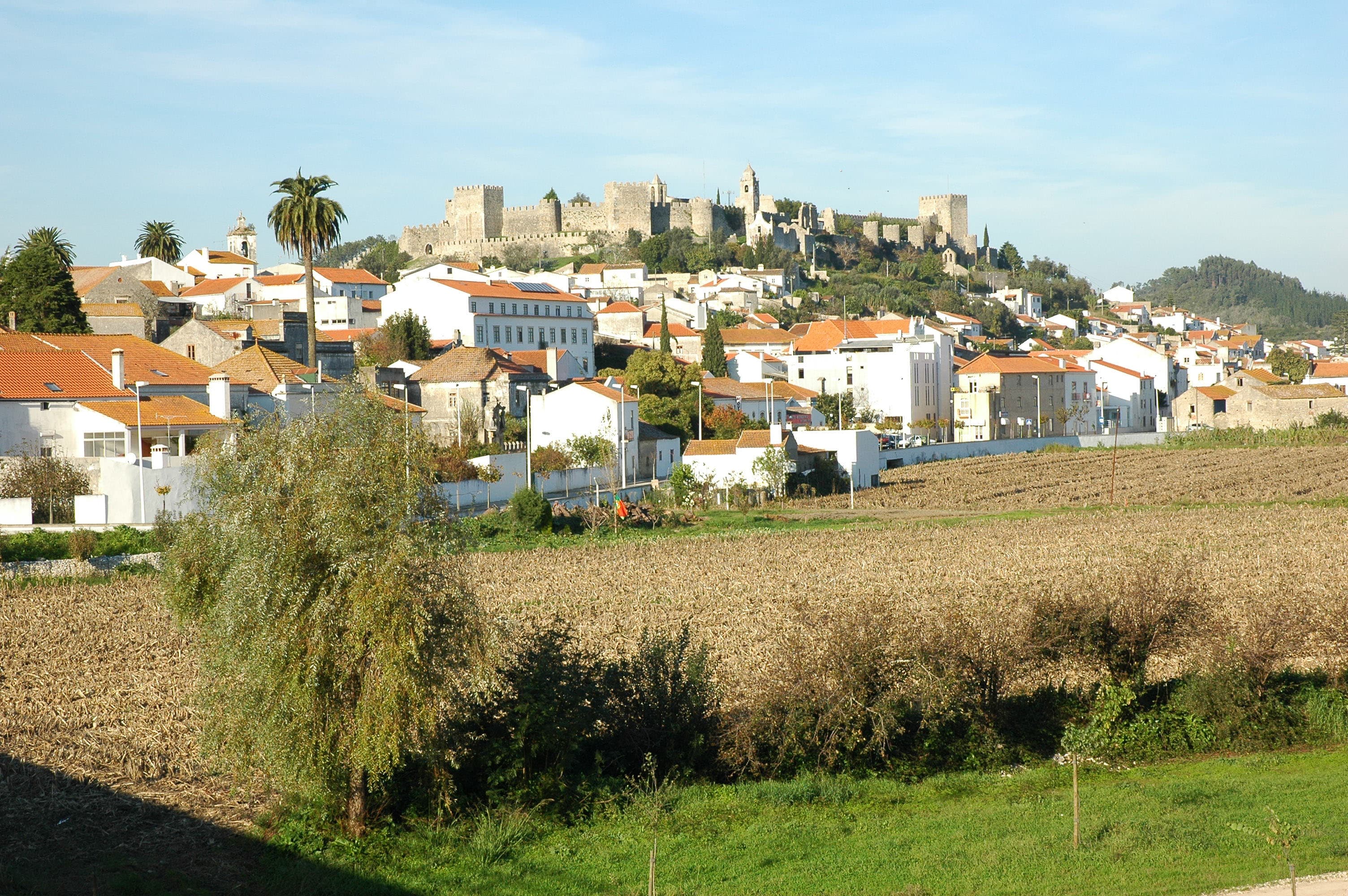 Paisagem de Montemor-o-Velho